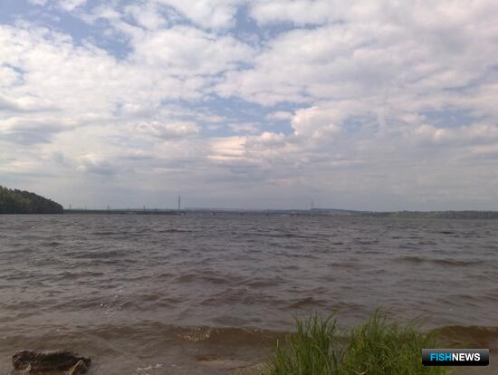 Рыбакам подготовили участки на водохранилищах Прикамья