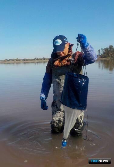 На Алтае собрали материалы для оценки промысловых запасов артемии