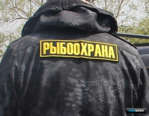 Попытка выгородить агрессивного браконьера закончилась приговором