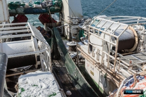 В правила распределения квот внесли поправки