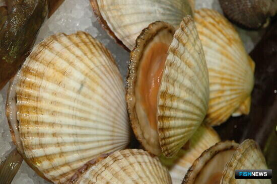 США обещают закупать японскую рыбопродукцию для нужд армии США обещают закупать японскую рыбопродукцию для нужд армии