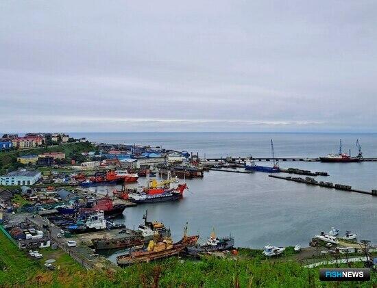 ТОР &laquo;Южная&raquo; взяла &laquo;рыбный&raquo; уклон