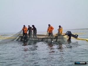 С новыми ставками: Минсельхоз подготовил изменения в список градообразующих предприятий