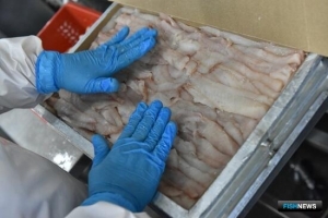 Продукции из минтая станет больше