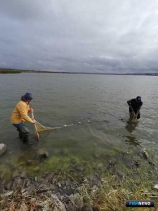 Наука держит на учете рыбные запасы Ставрополья