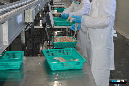 Экспорт рыбы и морепродуктов вырос в объемах