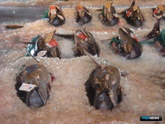 Рыбаки Японии пока остаются без китайского рынка Рыбаки Японии пока остаются без китайского рынка