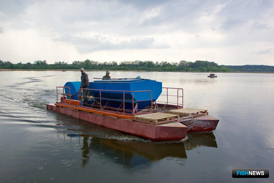 Донских рыбопромышленников приглашают за поддержкой Донских рыбопромышленников приглашают за поддержкой