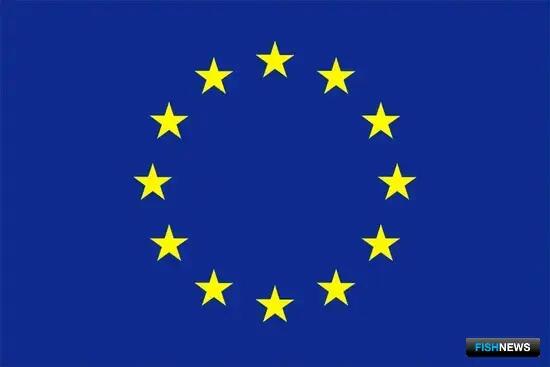 Евросоюз и его соседи решили усилить контроль за рыболовством в Средиземном и Черном морях