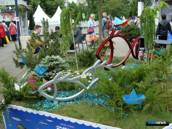 Внимание &mdash; на внутренний рынок: как в России работают над увеличением потребления рыбы