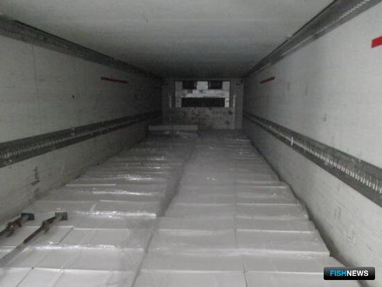 Из Белоруссии прибыла подозрительная рыбопродукция