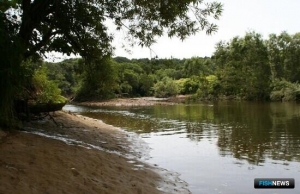 Заповедным зонам для рыбы обновили регламент