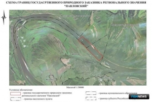 На Оке планируют создать заказник для защиты стерляжьего нерестилища