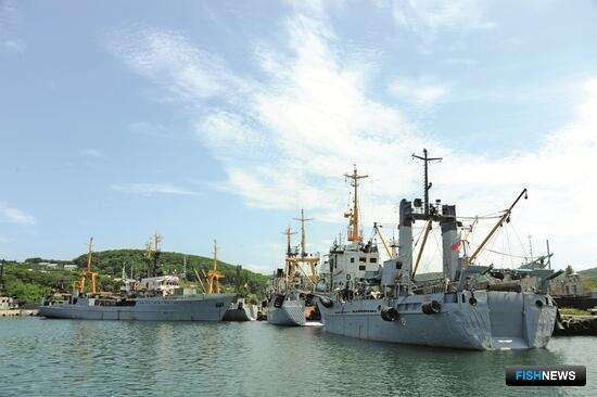 Минлесхоз Приморья займется «рыбными» делами Минлесхоз Приморья займется «рыбными» делами