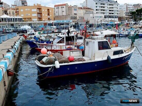 В Евросоюзе собираются устанавливать квоты на два-три года В Евросоюзе собираются устанавливать квоты на два-три года