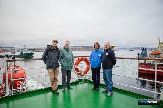 Корабельная краска может угрожать морской экологии