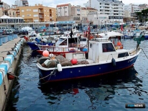 В Евросоюзе собираются устанавливать квоты на два-три года