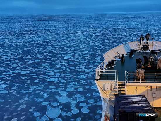 Корабельная краска может угрожать морской экологии