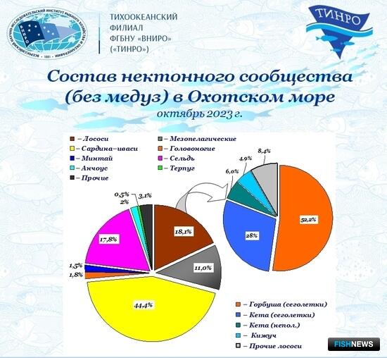 Ученые освежили данные о пополнении тихоокеанских лососей