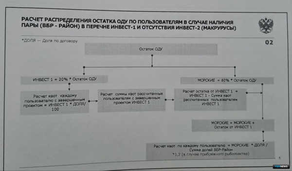 Для расчета квот вылова в новой системе расписали алгоритмы