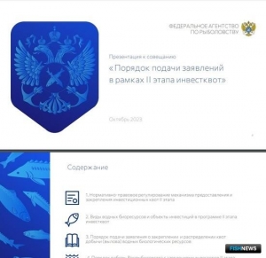 Программу инвестквот расписали в презентации