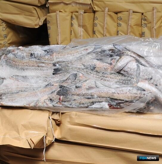 Ставка пошлины на экспорт рыбы снизилась до 5,5%