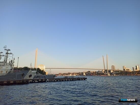 Приморье пересмотрело «рыбную» госпрограмму Приморье пересмотрело «рыбную» госпрограмму