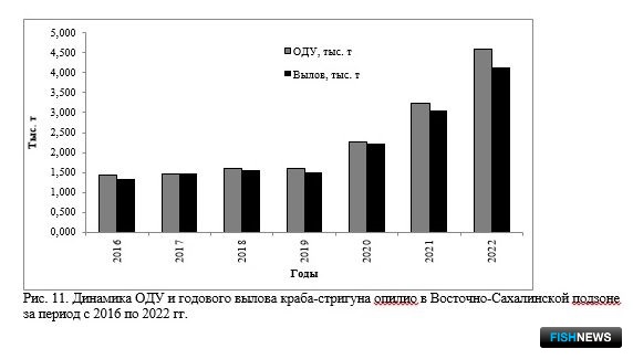 Наука рассказала о рыбных запасах Восточно-Сахалинской подзоны