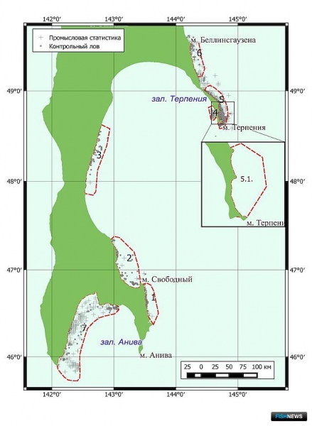 Наука рассказала о рыбных запасах Восточно-Сахалинской подзоны