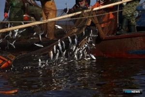 Допустимый улов в реках и озерах распределили по направлениям