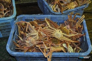 Проблему финансовых потоков от браконьерства изучают на уровне АТР