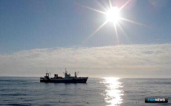 Глава Камчатки обратился к вице-премьеру по топливной проблеме рыбаков