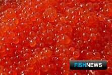 Красную икру на 300 тыс. рублей тормознули на пути в Узбекистан Красную икру на 300 тыс. рублей тормознули на пути в Узбекистан