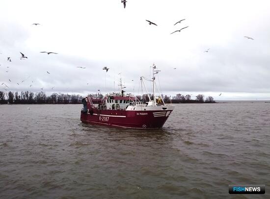 Предприятия начинают получать квоты на 2024 год Предприятия начинают получать квоты на 2024 год