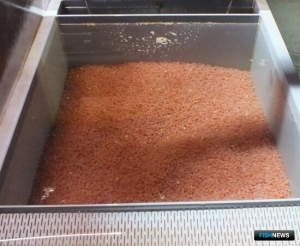 В Сахалинской области расширяют лососеводство