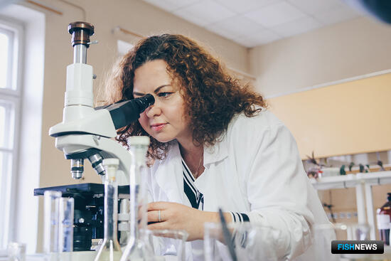 &laquo;Осетровый&raquo; проект поддержат грантом