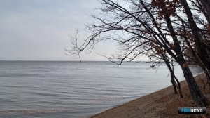 В Приморье подсчитали уловы на реках и озерах