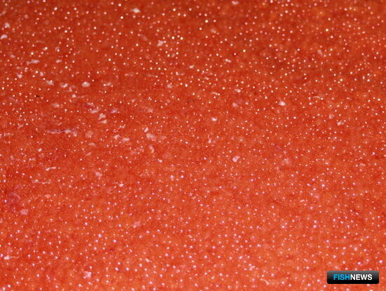 Семейный &laquo;бизнес&raquo; по торговле сомнительной икрой прикрыли на старте