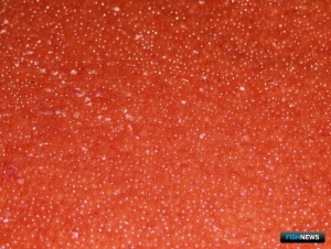 Семейный &laquo;бизнес&raquo; по торговле сомнительной икрой прикрыли на старте