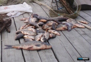 Для рыбоохраны хотят добавить тревожных &laquo;флажков&raquo;