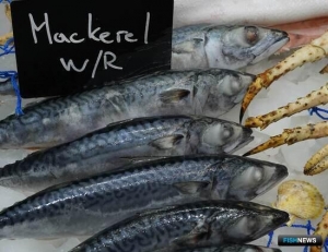 Россия и Япония обменялись рыбными лимитами на 2024 год