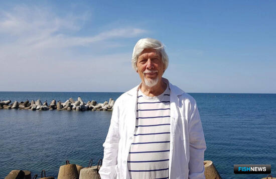 Изучение водорослей Черного моря привело к интересным выводам