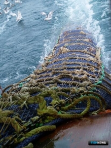 Вылов обещает новый рекорд к концу года