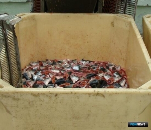 Для обращения с биоотходами прописали правила