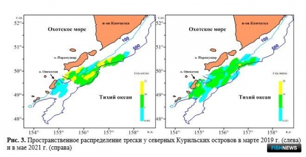 Ученые проанализировали запасы и уловы Северных Курил