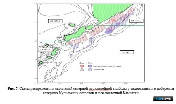 Ученые проанализировали запасы и уловы Северных Курил