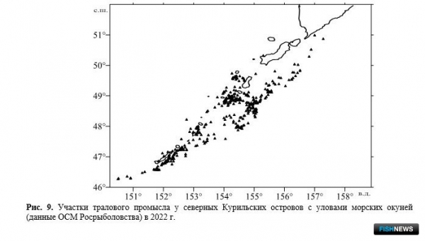 Ученые проанализировали запасы и уловы Северных Курил