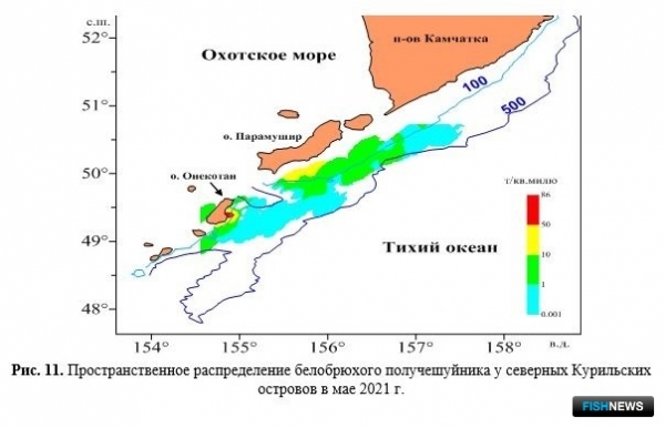 Ученые проанализировали запасы и уловы Северных Курил