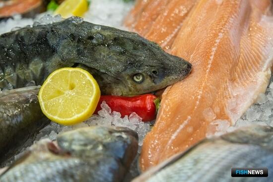 Глава Росрыболовства предложил активнее использовать институт атташе для развития рыбного экспорта Глава Росрыболовства предложил активнее использовать институт атташе для развития рыбного экспорта