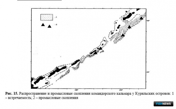Ученые проанализировали запасы и уловы Северных Курил